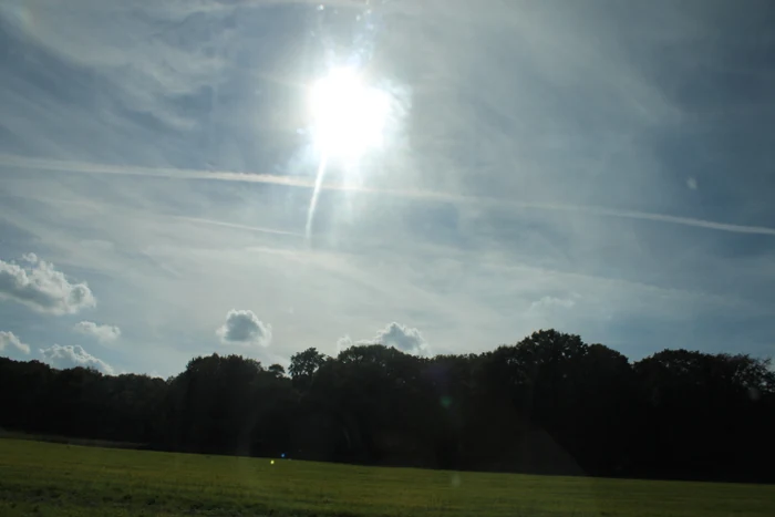 Die helle Sonne über einer Wiese und einer dunklen Baumreihe.