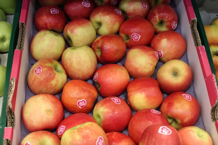 Viele rote und gelbe Äpfel, von oben fotografiert.